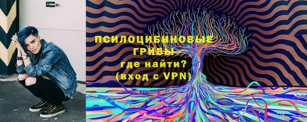 бутират Алзамай