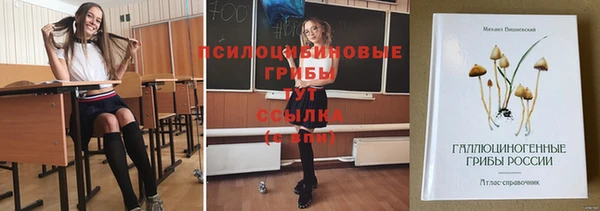 бутират Алзамай