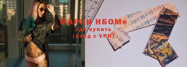 СК Алексин