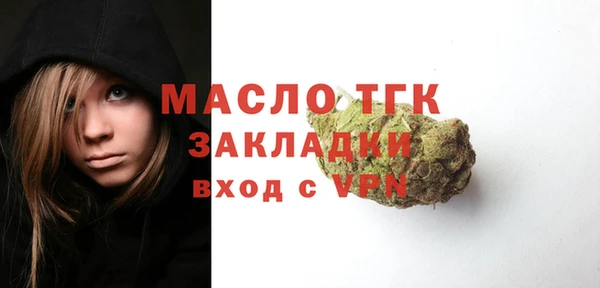 СК Алексин