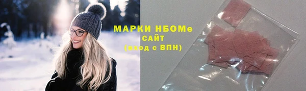 СК Алексин