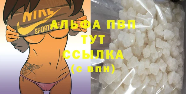 СК Алексин